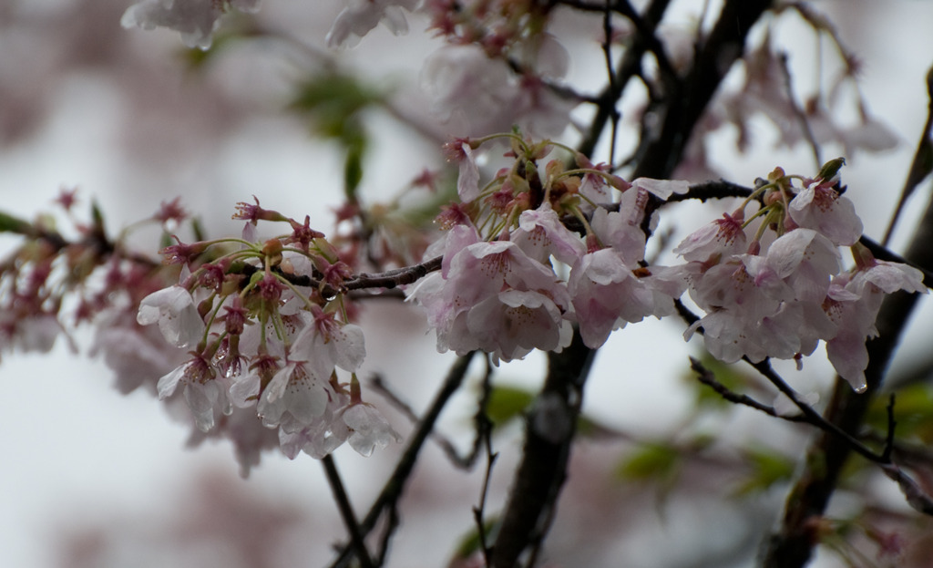 風情があって良い感じでした。