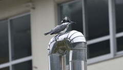 そこか・・・・・