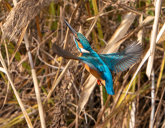 ハイレート・・・・違(;^_^A