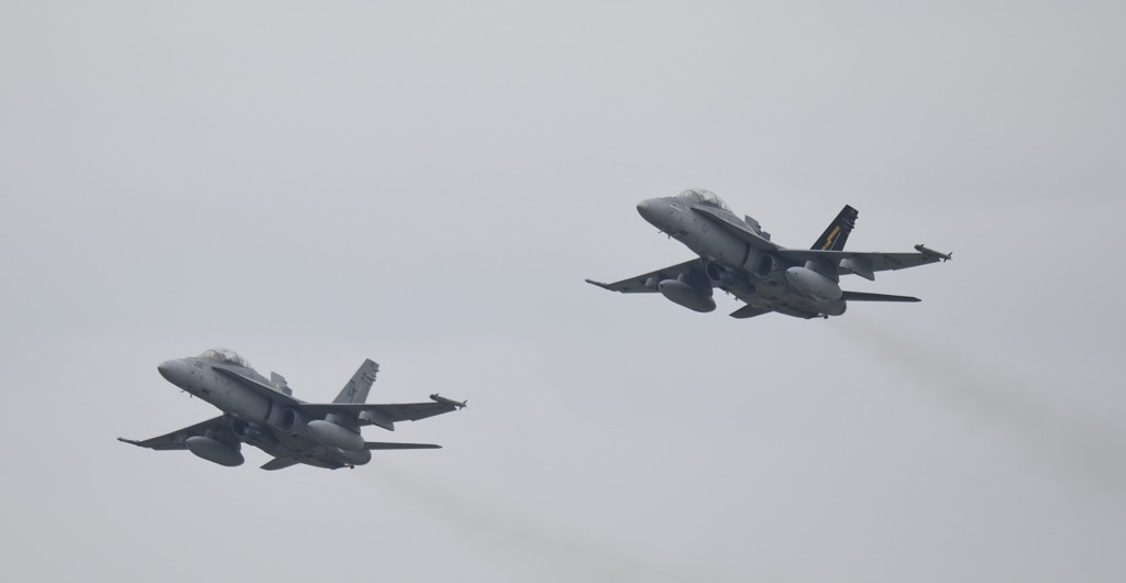 親分といっしょｗｗ