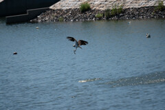 あららら、、(;^_^A