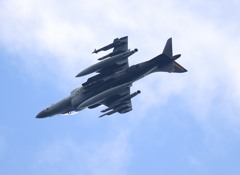 でんぐり返しｗ