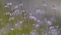 法面・・・(;^_^A