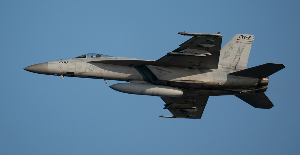 初詣らしく・・・