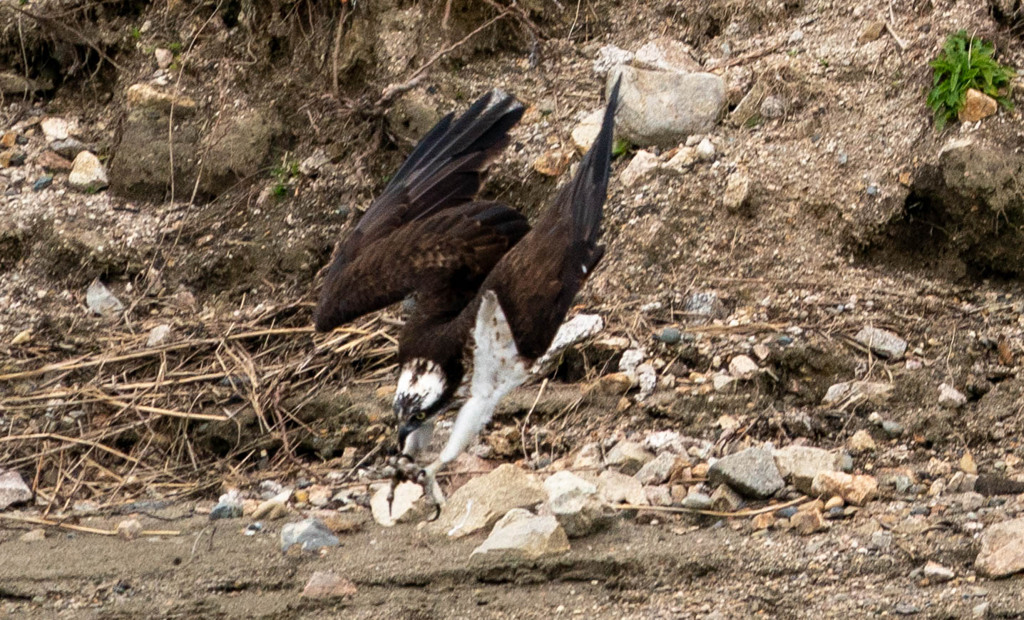 この辺から・・・