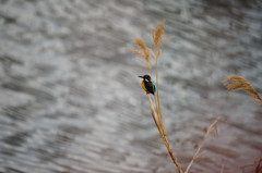 ノートリで。。