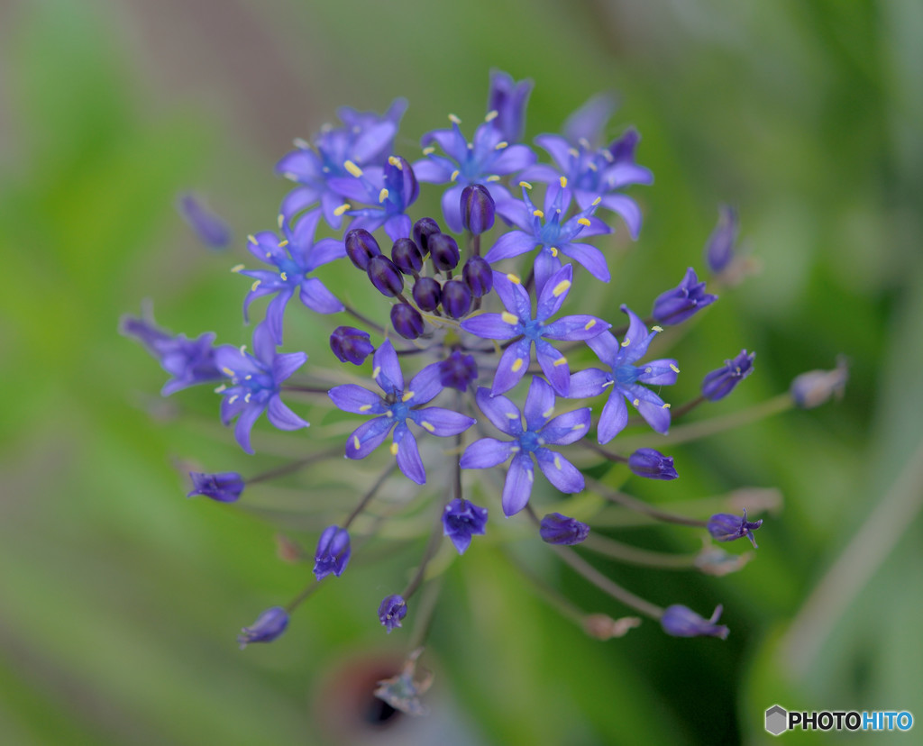 なまえが・・・・(^^;)