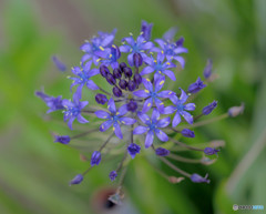 なまえが・・・・(^^;)