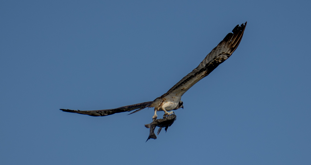 後ろから・・・