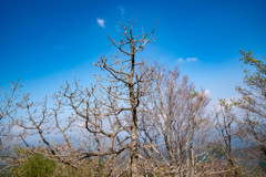 上がる前に、、