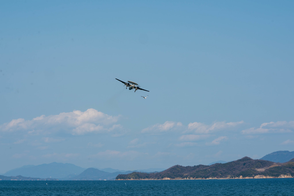 追いかけっこｗ