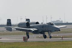 A10