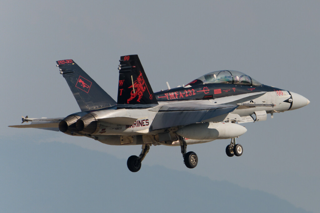 VMFA-232 RED DEVILS  WT #100