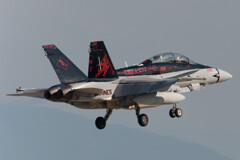 VMFA-232 RED DEVILS  WT #100