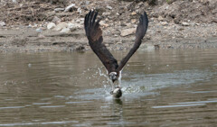 やってもうた・・・