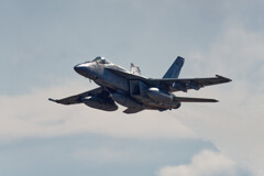 謹賀新年　F-18　れがしー