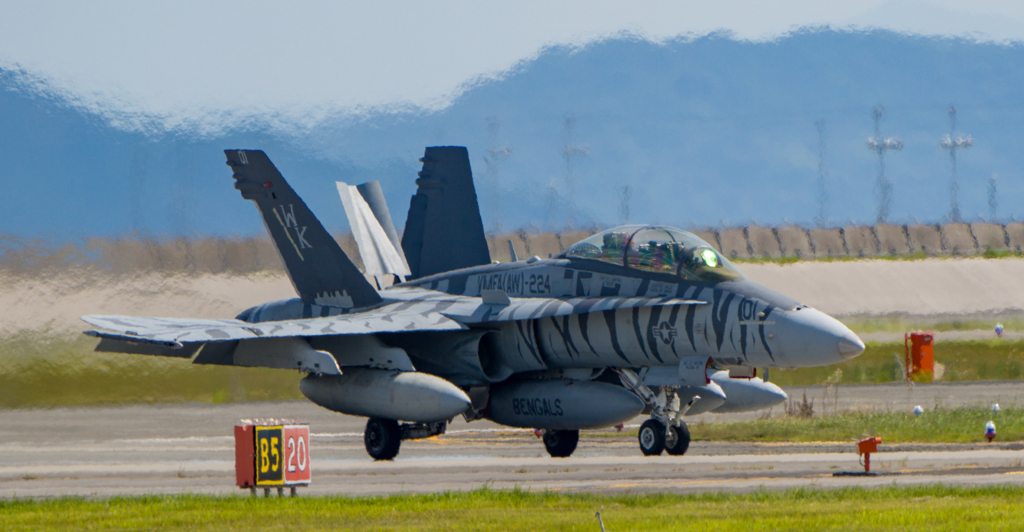 ベンガル＃０１