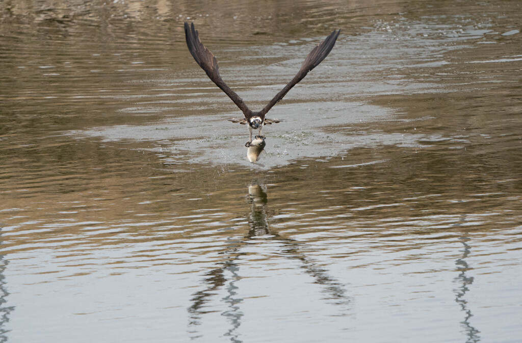 そにさんエライ！！ｗ