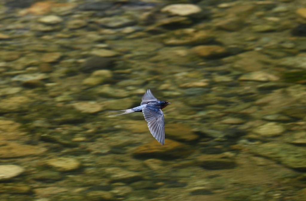 最終手段・・・ｗ