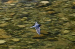 最終手段・・・ｗ