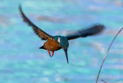 落とし物を・・・・ｗｗｗ