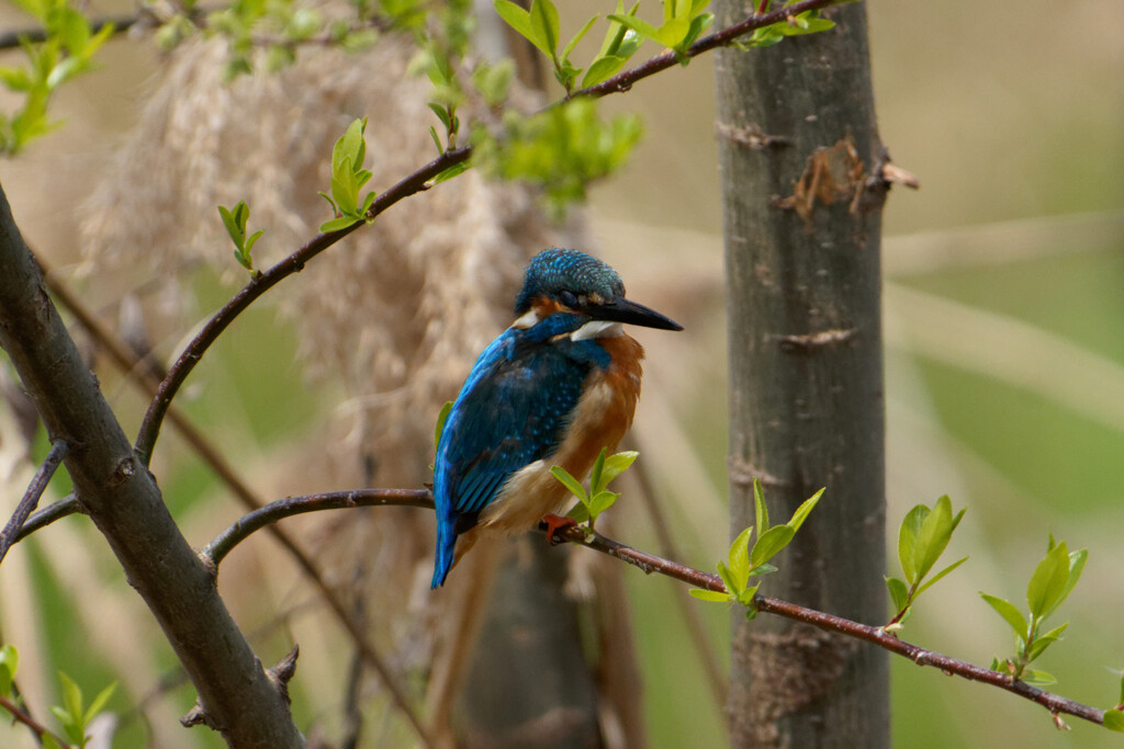 DSC06948_DxO