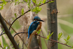 DSC06948_DxO