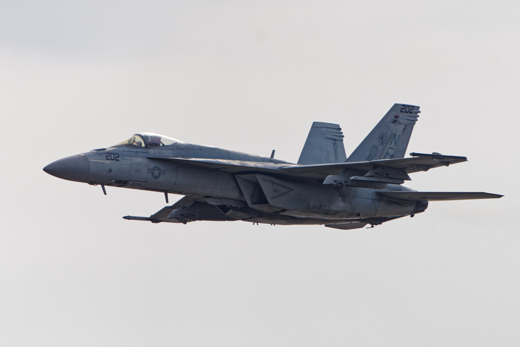 Ｆ－１８