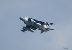 文句なし・・・