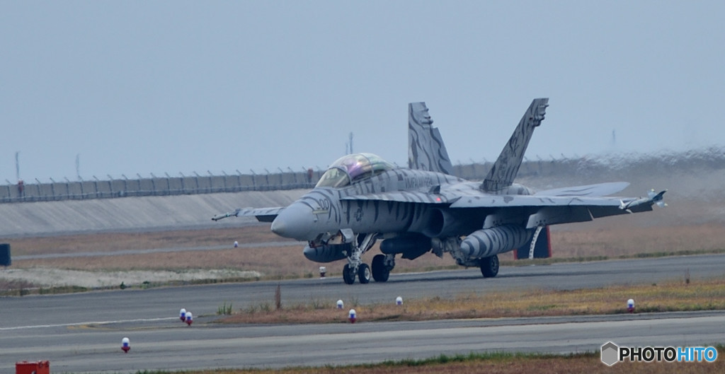 親分が帰ってきた！！