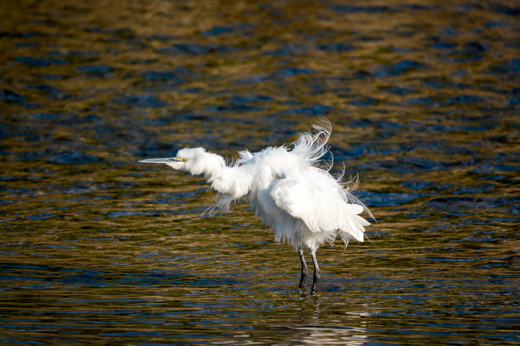 第２形態へ！！！