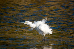 第２形態へ！！！