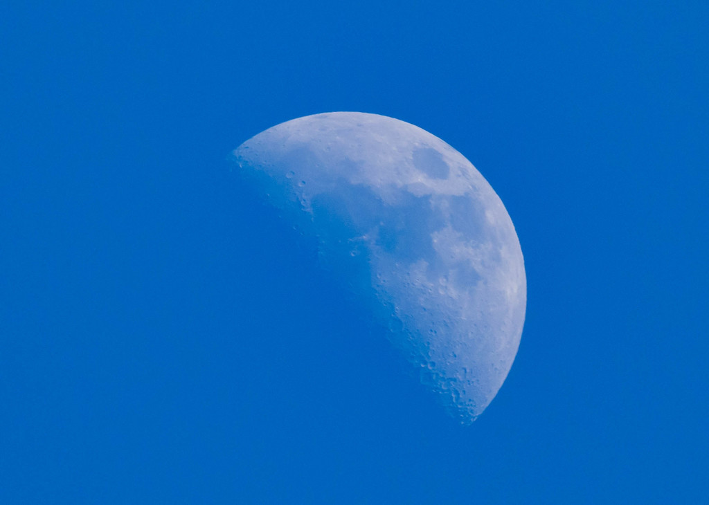 P2040562