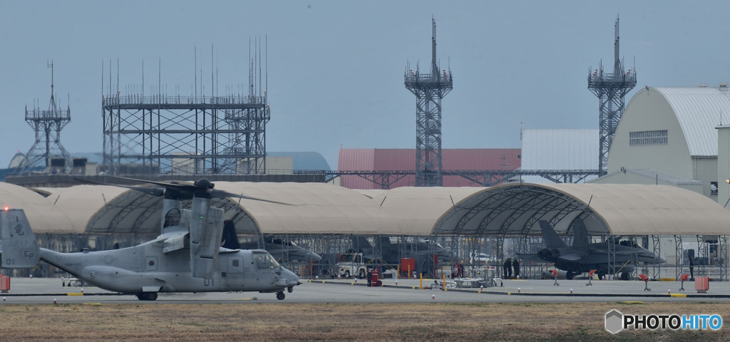 ベンガル・・・