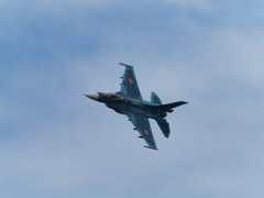 F-2