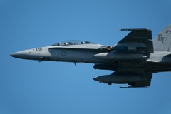 なんと、、こいつも