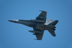 これも、、やばーー