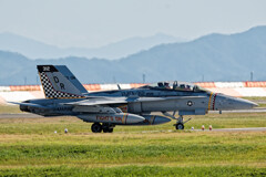 VMFA-312 Checkerboards 