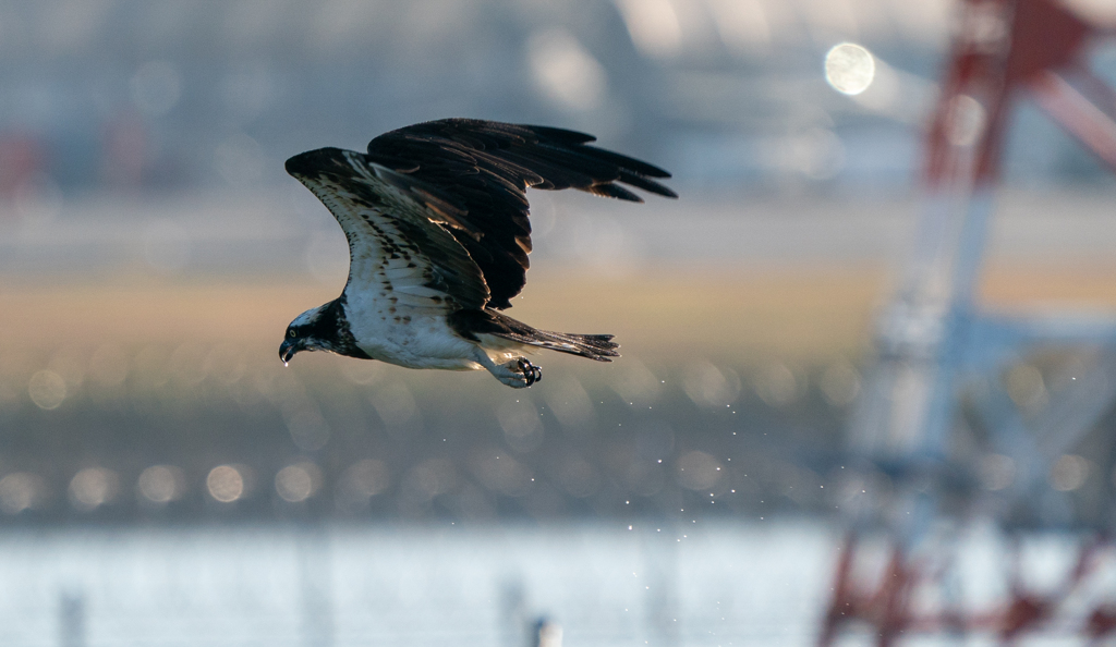 水も滴る、、、