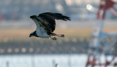 水も滴る、、、