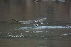 よいっしょ！！！