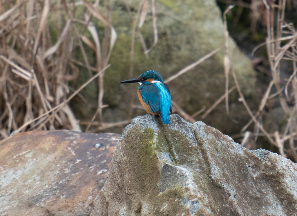 自宅前にて・・・