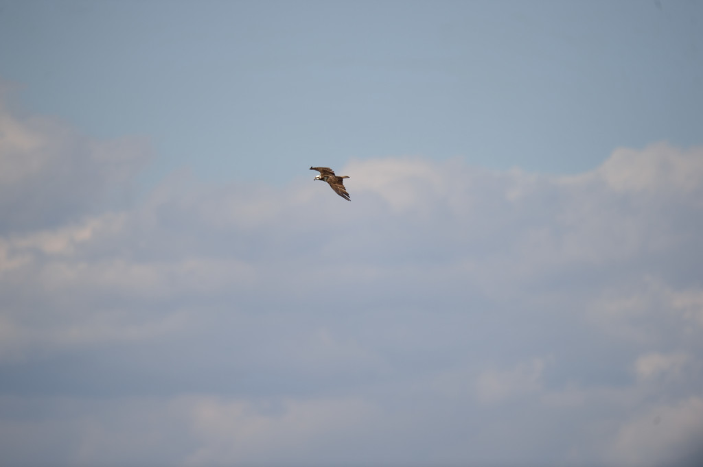 遠い証拠写真・・・