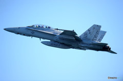 ベンガル　＃１１