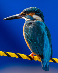 ロープが・・・・