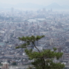 権現山