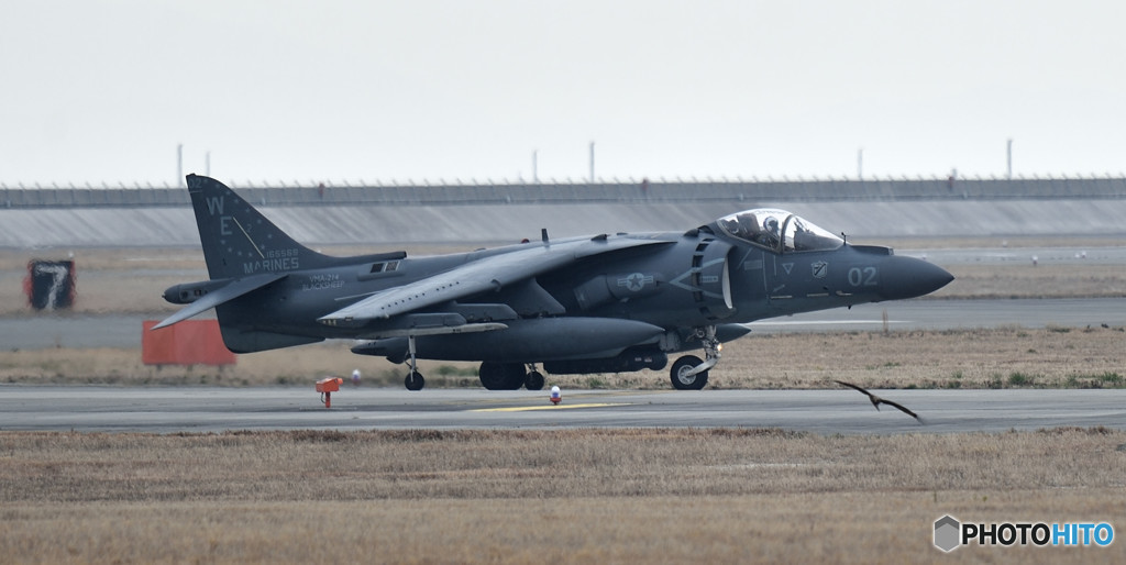 ブラックシープ