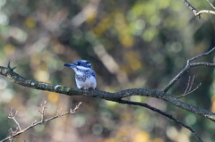 寒そう・・・・