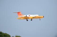 滑走路に・・・