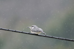 チッ・・・！！